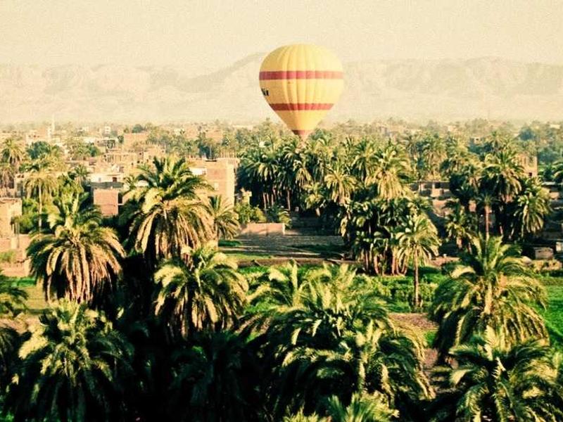 feedback screenshot 6